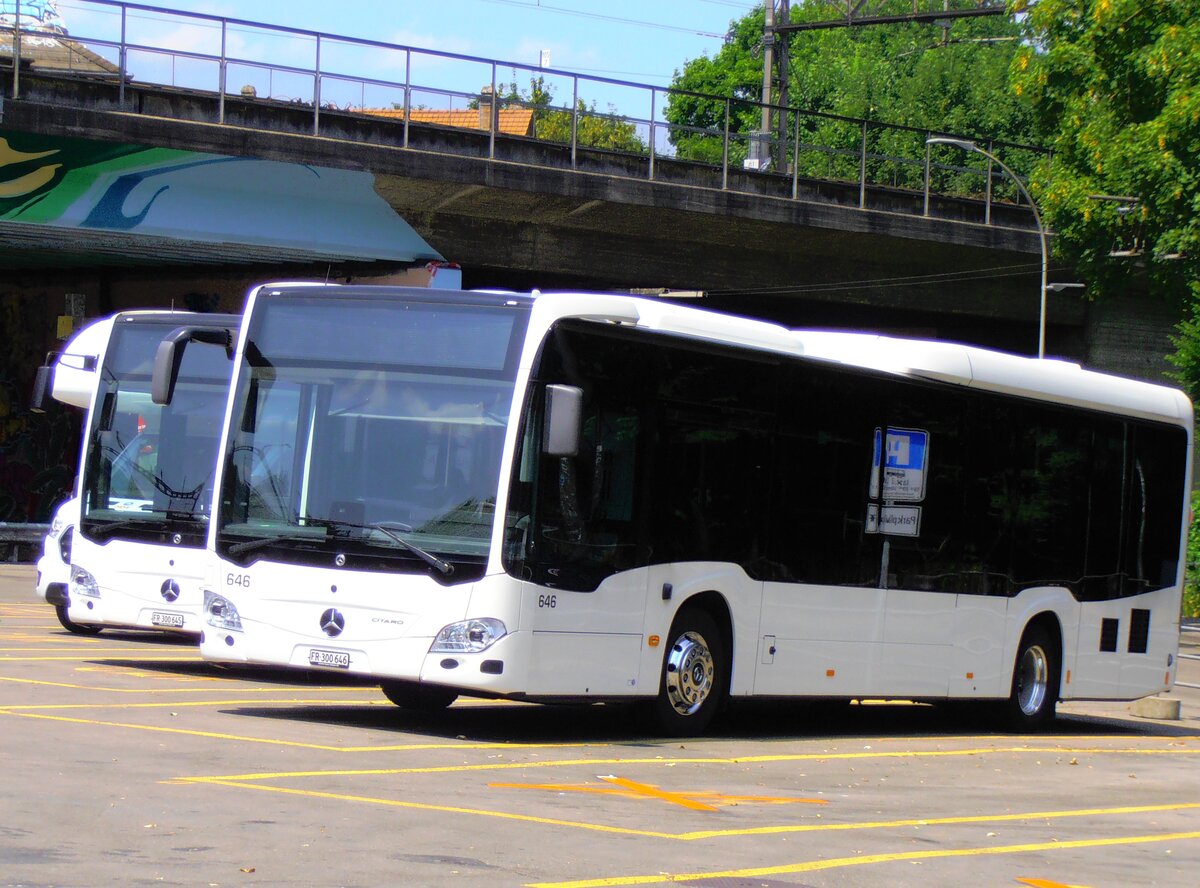 (277'542) - Intertours, Domdidier - Nr. 646/FR 300'646 - Mercedes am 4. Juli 2025 in Bern, Sch�tzenmatte