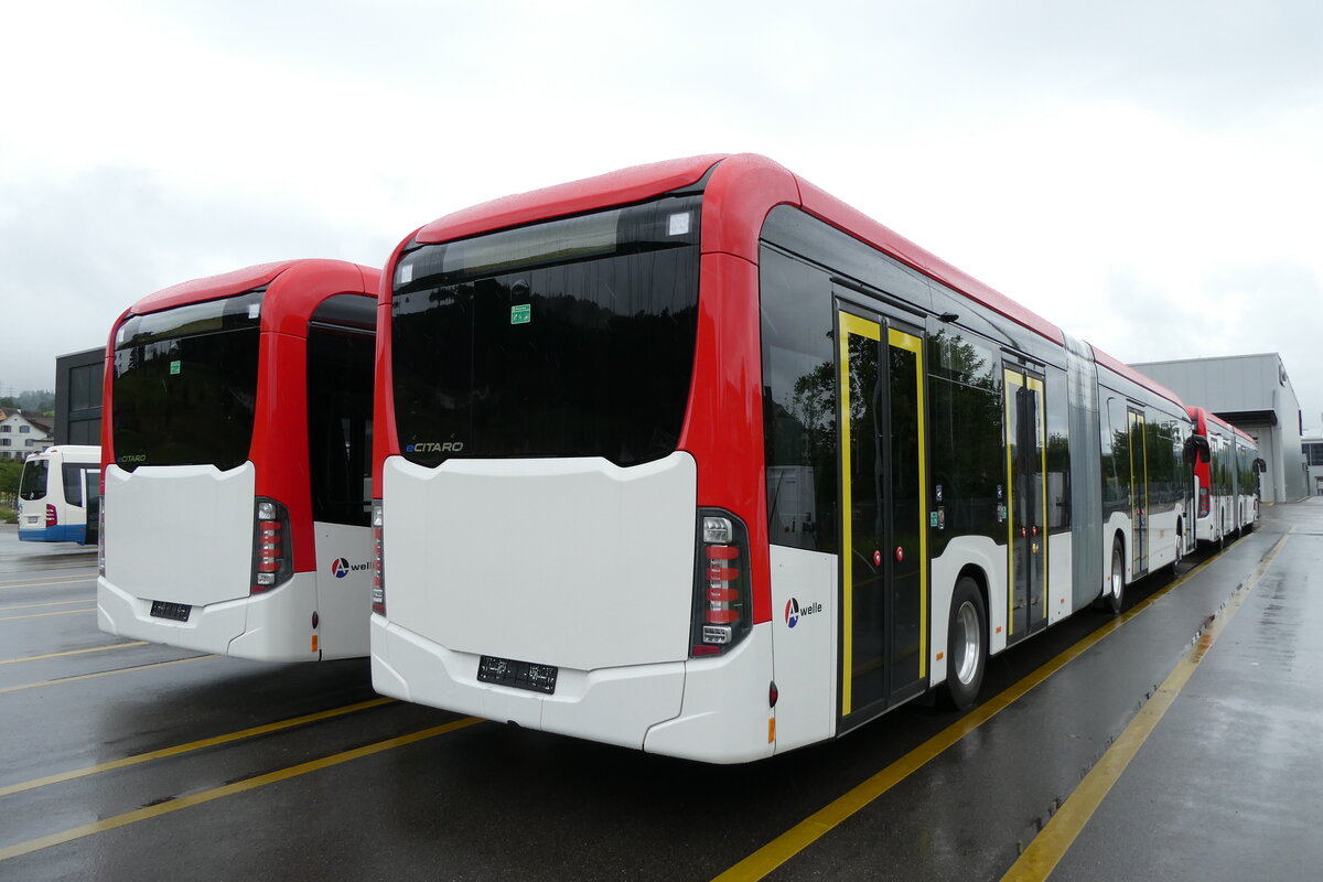 (278'372) - RVBW Wettingen - (145'894) - eMercedes am 2. August 2025 in Winterthur, Daimler Buses