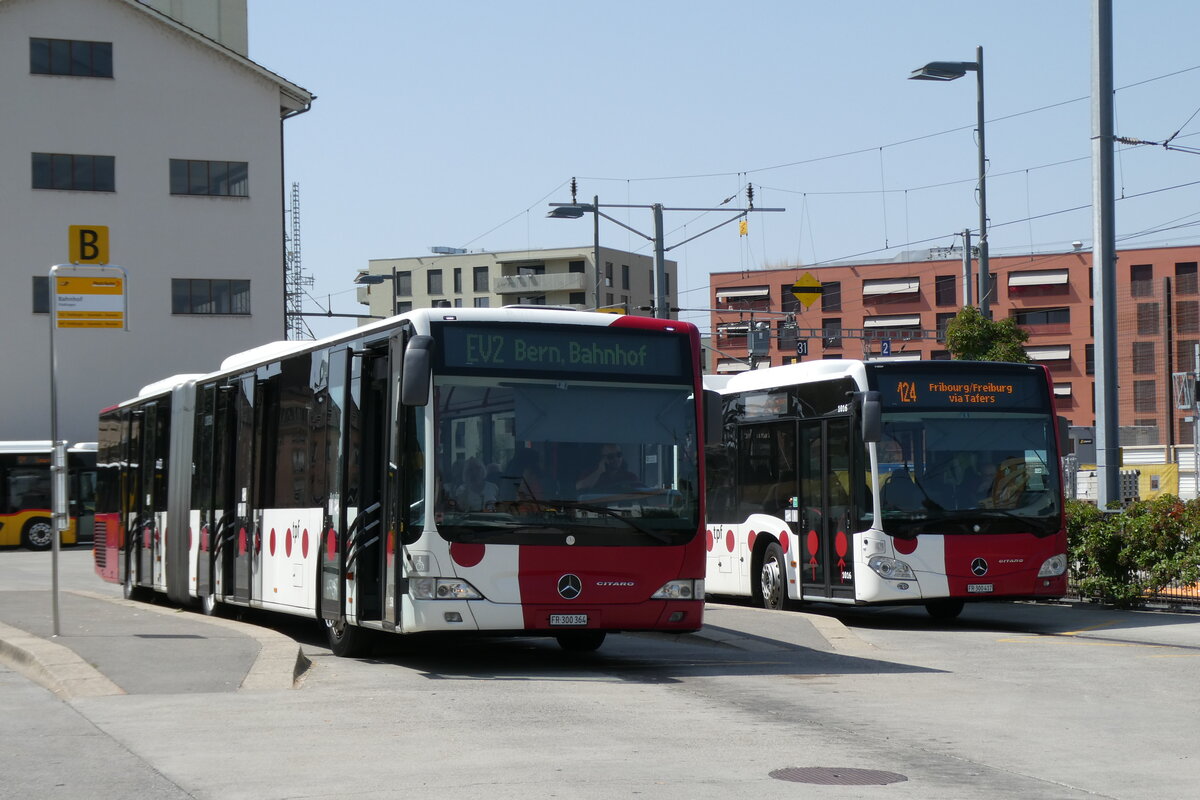 (278'868) - TPF Fribourg - Nr. 158/FR 300'364 - Mercedes am 15. August 2025 beim Bahnhof D�dingen