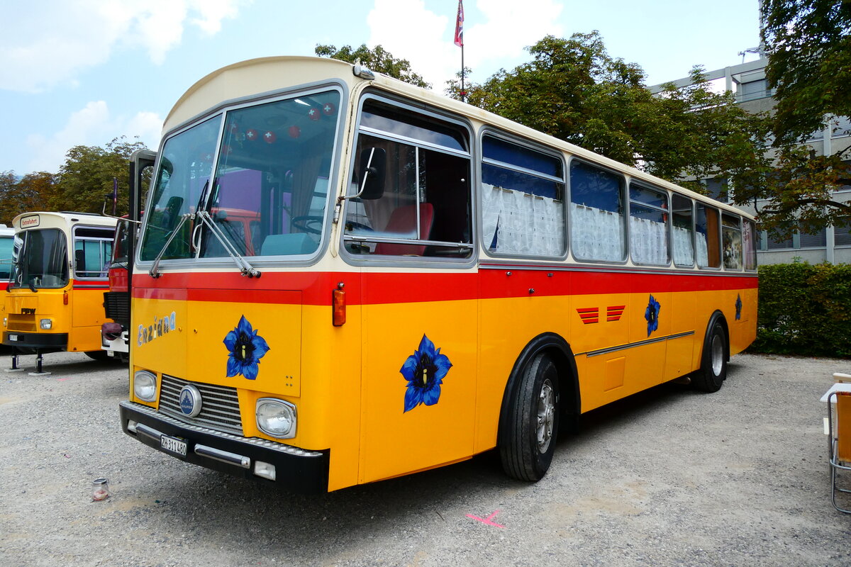 (279'085) - G�hwiler, Birmensdorf - ZH 311'480 - Saurer/T�scher (ex AVG Grindelwald Nr. 12; ex Steiger, Schlatt) am 16. August 2025 in Solothurn, Baseltor