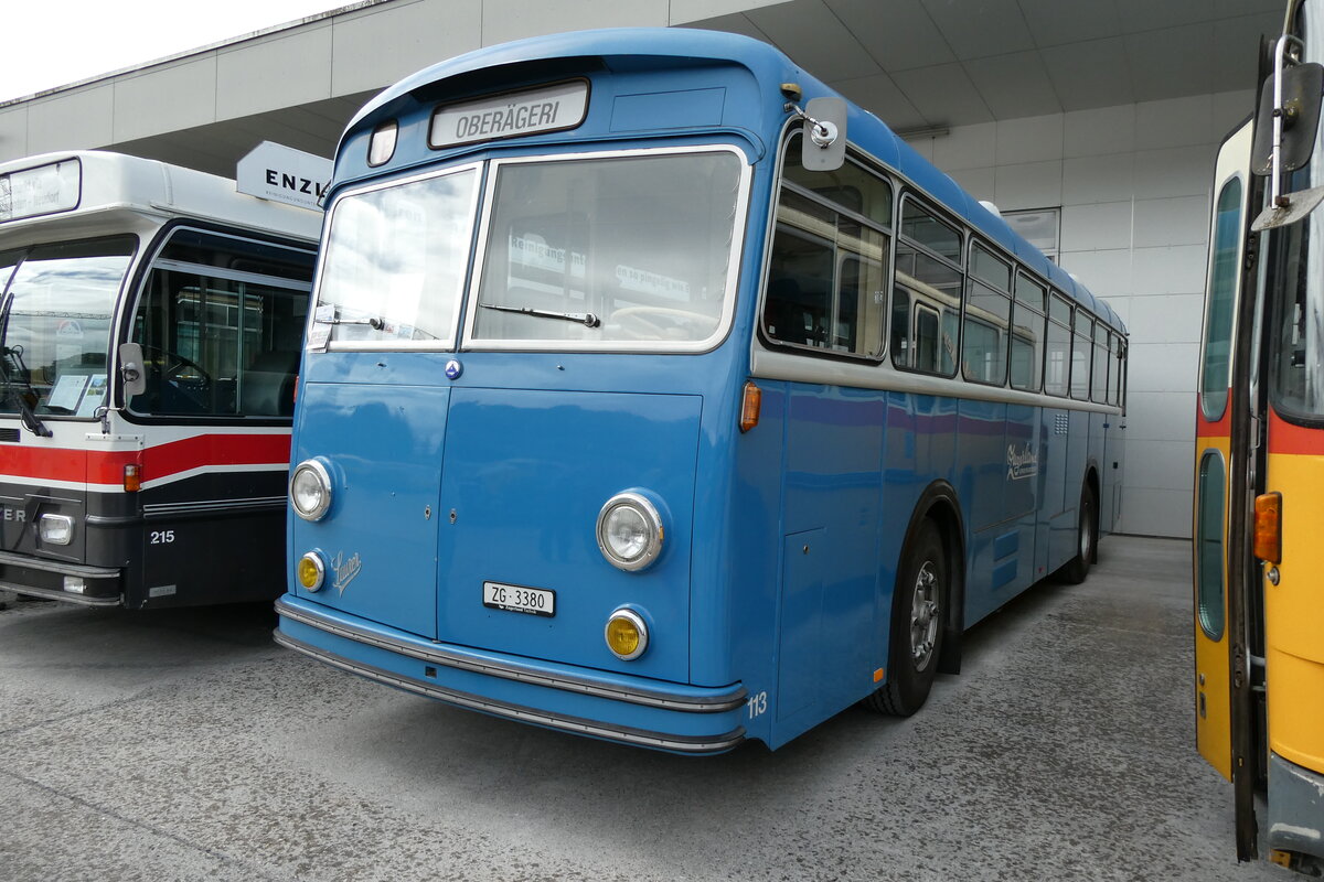(279'685) - ZVB Zug - Nr. 113/ZG 3380 - Saurer/Saurer (ex Nr. 13) am 30. August 2025 in Oberkirch, CAMPUS Sursee