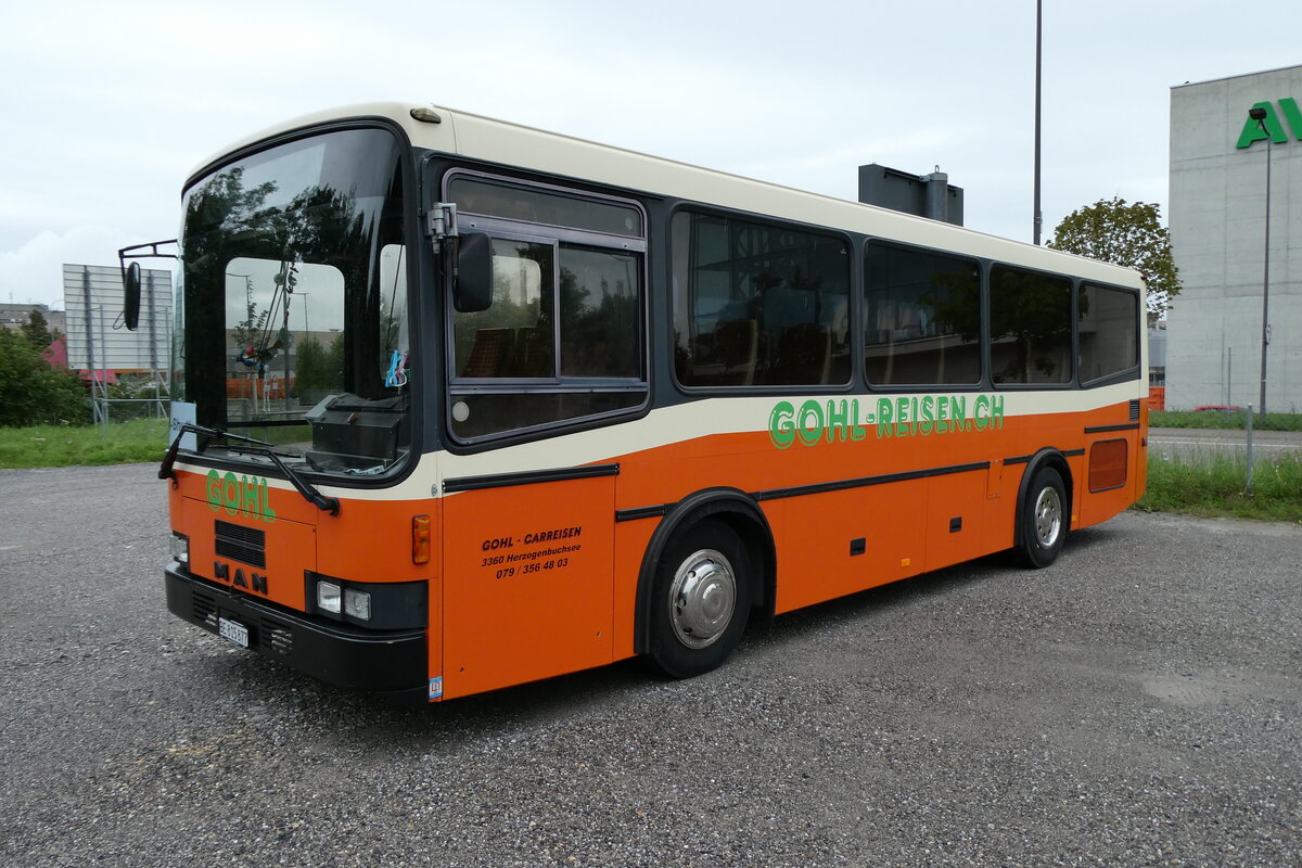 (279'824) - Gohl, Herzogenbuchsee - BE 815'877 - MAN/Lauber (ex AMSA Chiasso Nr. 19; ex Tresch, Amsteg PID 2290) am 2. September 2025 in Thun, Kleine Allmend