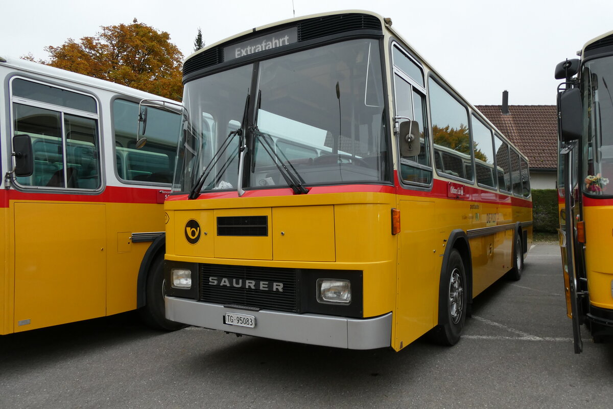 (281'325) - Oldtimer Club Saurer, Arbon - TG 95'083 - Saurer/T�scher (ex Schwizer, Goldach Nr. 2) am 12. Oktober 2025 in Schwarzenberg, R�ssli