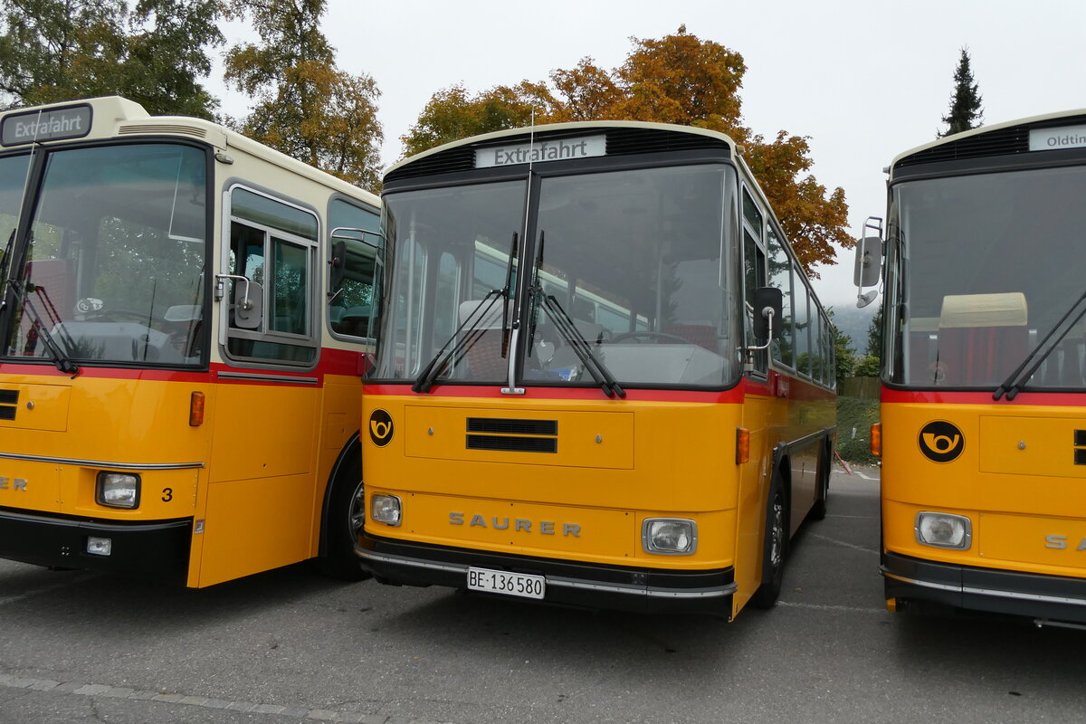 (281'331) - Schumacher, Liebefeld - BE 136'580 - Saurer/T�scher (ex Zimmermann, Niederwangen; ex P 24'289) am 12. Oktober 2025 in Schwarzenberg, R�ssli