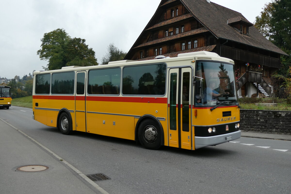 (281'404) - Stolz, Niederb�ren - SG 452'875 - Saurer/R&J (ex Soltermann, Bichwil; ex Ziegler, Pratteln; ex Tanner, Bubendorf; ex Schnider, Sch�pfheim) am 12. Oktober 2025 in Hellb�hl, Luzernstrasse