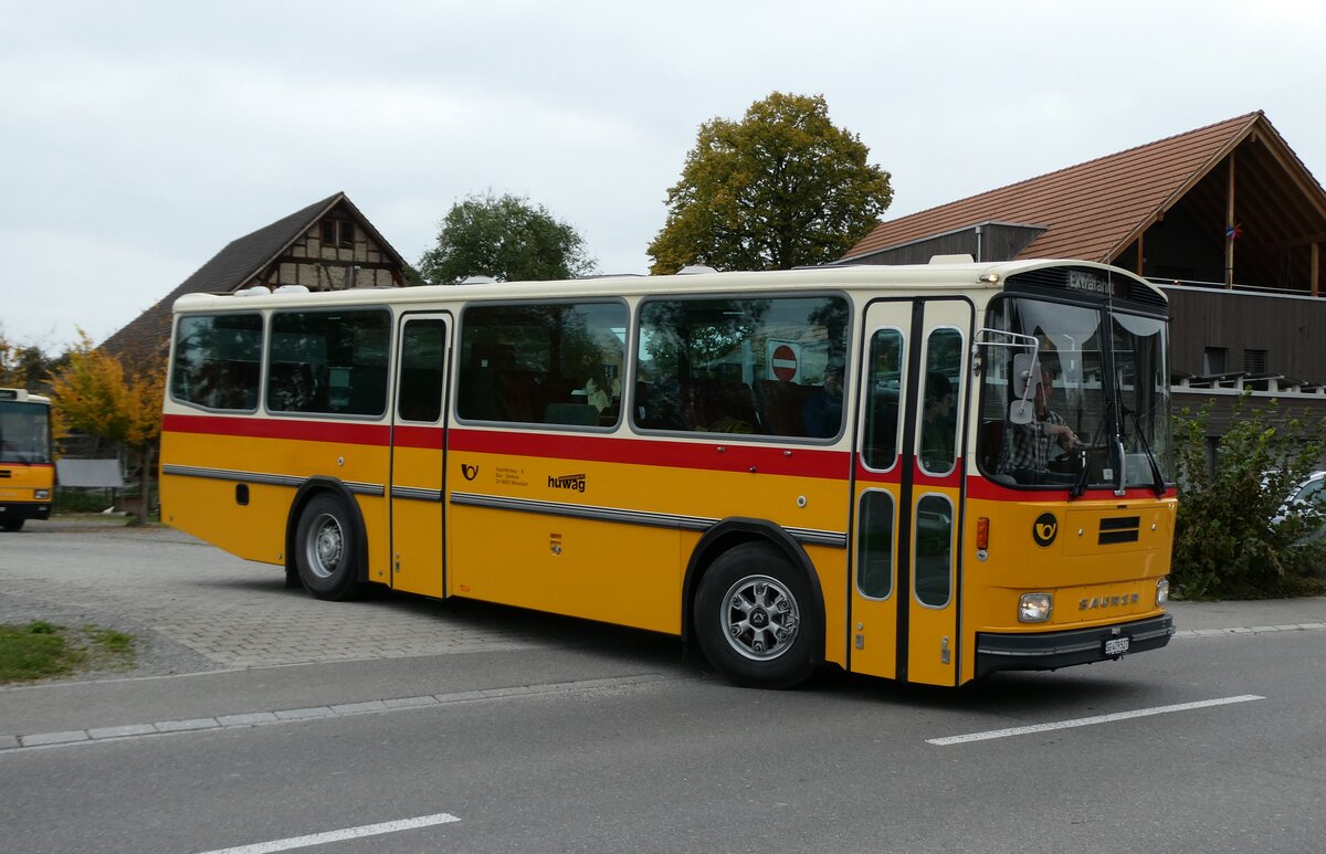 (281'449) - Huwag, M�rschwil - SG 479'527 - Saurer/R&J (ex Nef, Hemberg PID 3243; ex P 24'353) am 12. Oktober 2025 in Hitzkirch, Interkantonale Polizeischule