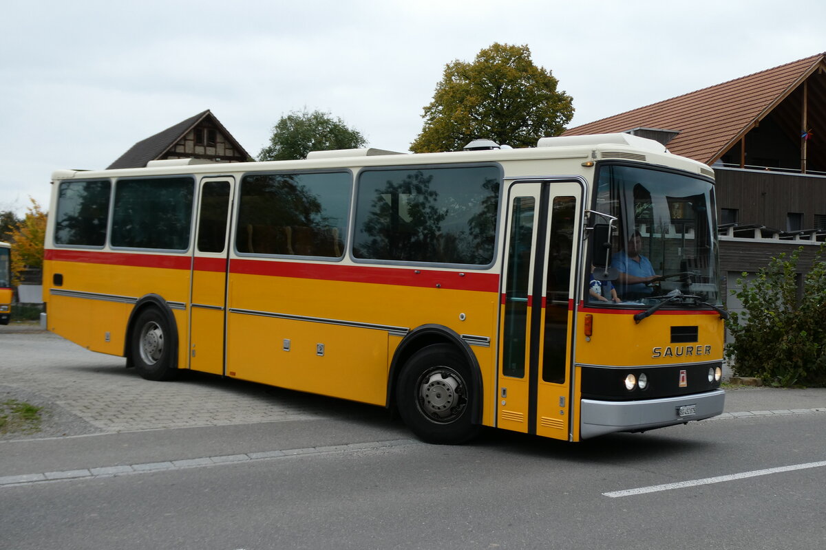 (281'453) - Stolz, Niederb�ren - SG 452'875 - Saurer/R&J (ex Soltermann, Bichwil; ex Ziegler, Pratteln; ex Tanner, Bubendorf; ex Schnider, Sch�pfheim) am 12. Oktober 2025 in Hitzkirch, Interkantonale Polizeischule