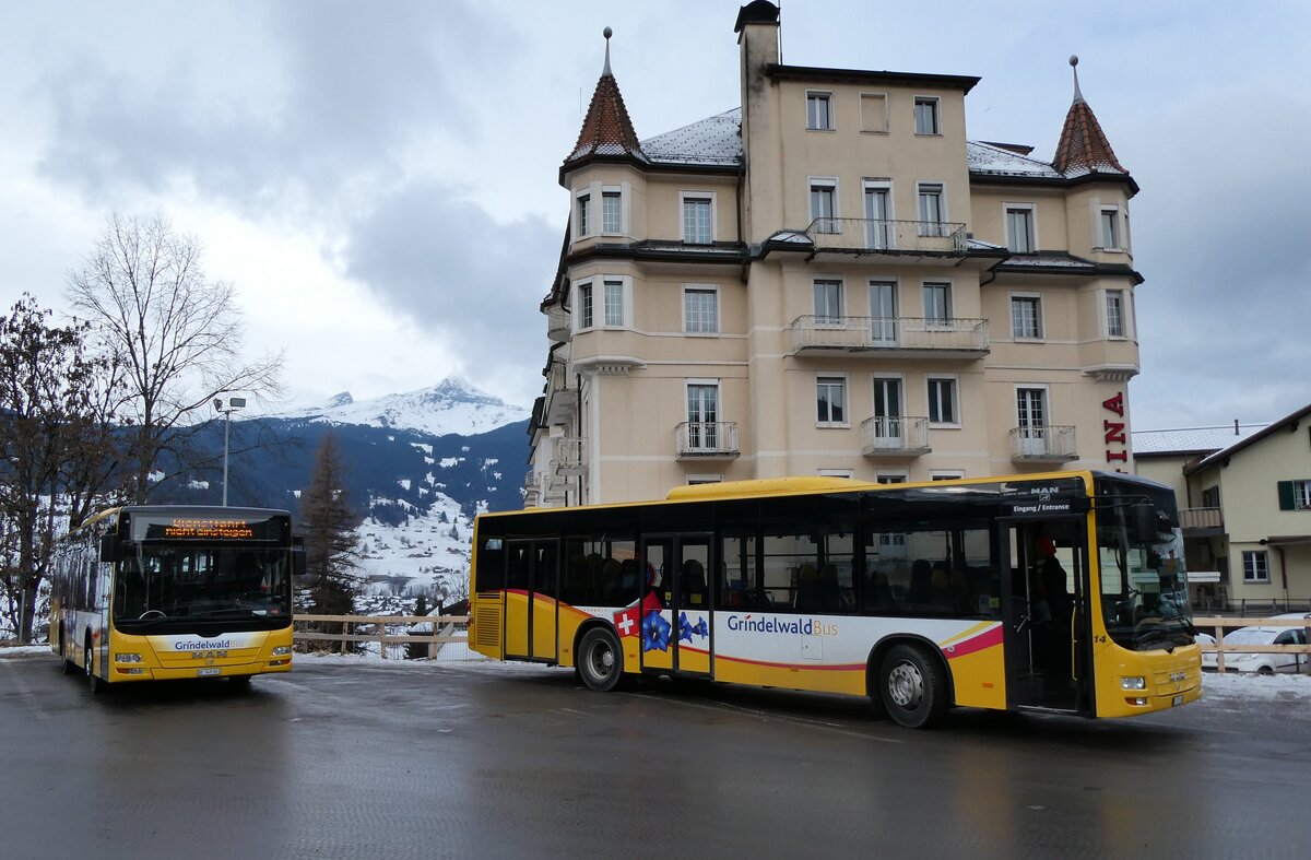 (283'649) - GrindelwaldBus, Grindelwald - Nr. 20/BE 349'361 + Nr. 14/BE 202'568 - MAN/G�ppel am 2. Januar 2026 beim Bahnhof Grindelwald