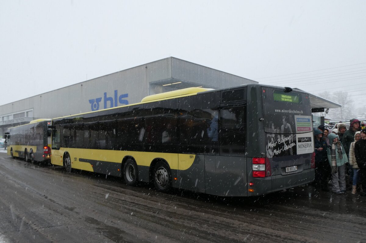 (283'833) - STI Thun - Nr. 147/BE 801'147 - MAN am 10. Januar 2026 beim Bahnhof Frutigen