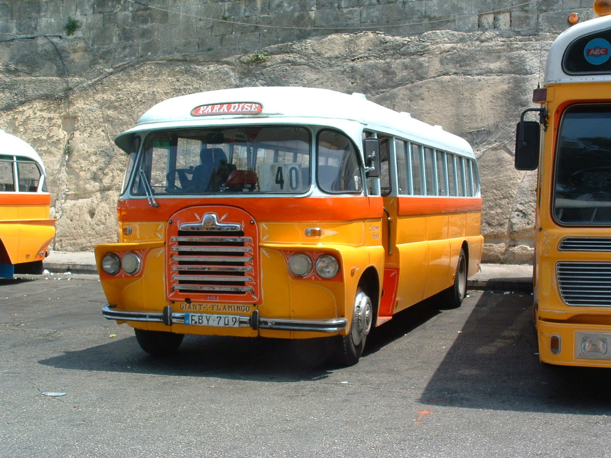 FBY 709
1959 Bedford SB
Barbara B40F

Previously registered 3268, A-3268, Y-1410 and Y-0709 in Malta.

Valletta City Gate Terminus layover area, Malta 29/04/2010.