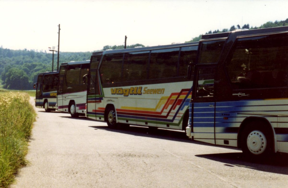 (MD388) - Aus dem Archiv: V�gtli, Seewen - SO 20'249 - Dr�gm�ller um 1995 in Seewen, Garage