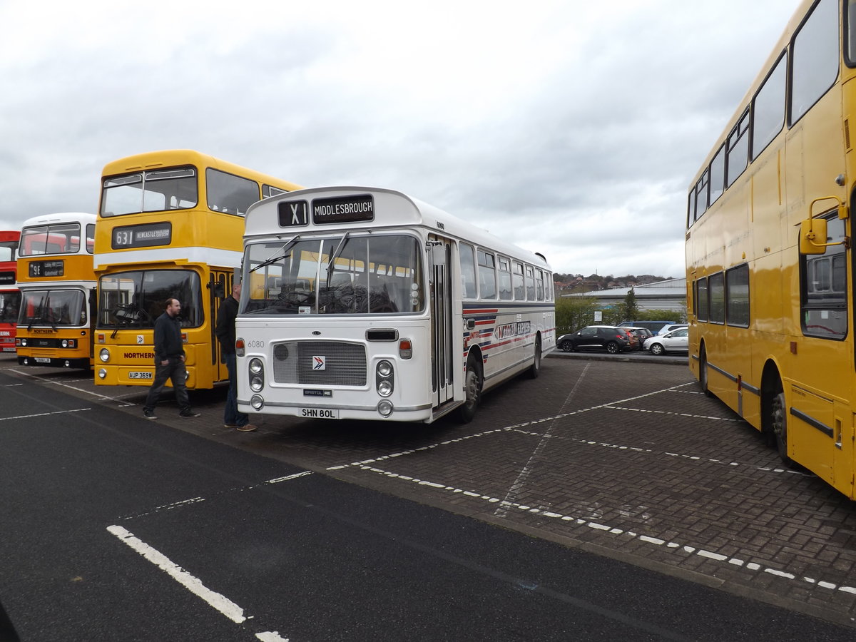 SHN 80L
1973 Bristol RELH6G
ECW DP49F
New to United Automobile Services, Darlington, County Durham, England as fleet number 6080.

Photographed at MetroCentre, Gateshead, Tyne & Wear, England on 1st May 2016 during a vintage bus & coach show.  This bus has since been repainted into the correct livery of red & white.