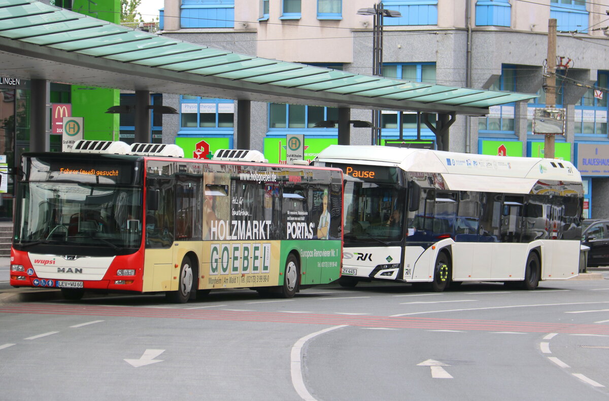 Wupsi, Leverkusen - Nr. 60/LEV-WU 60 - MAN + RVK K�ln - Nr. 445/K-ZY 445 - Solaris am 19. Juni 2022 in Solingen (Aufnahme: Martin Beyer)