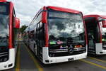 (279'605) - RVBW Wettingen - (145'894) - eMercedes am 29.