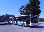 (277'743) - BOGG Wangen b.O.