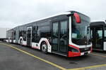 (281'295) - AAGS Schwyz - (M 298) - MAN am 11.