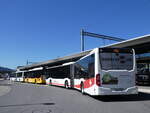 (273'838) - ARAG Ruswil - Nr.