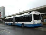 (243'510) - VBZ Z�rich - Nr.