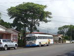 (211'328) - Transportes Tilar�n, Tilar�n - 3491 - Bluebird am 15.