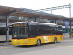 (215'132) - PostAuto Bern - BE 422'461 - MAN/G�ppel (ex AVG Meiringen Nr.