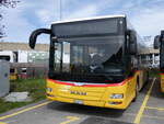 (260'843) - CarPostal Ouest - VD 606'576/PID 10'264 - MAN (ex TSPG Saignel�gier) am 29.