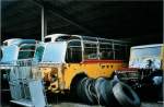 (104'834) - Jauch, G�schenen - Saurer/T�scher (ex P 24'115) am 1.