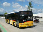 (239'710) - H�fliger, Sursee - Nr.