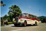 (086'630) - R�llin, Hirzel - SZ 955 - FBW/FHS (ex Fl�ckiger, Rickenbach; ex Rieben, Aesch; ex Pfister, Th�rnen) am 18.