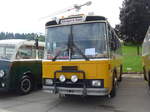 (184'321) - Oberh�nsli, Thayngen - SH 60'062 U - FBW/T�scher (ex Bus-Halter, Wil Nr.