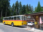 (207'488) - Birchler, Remetschwil - AG 54'039 - FBW/T�scher (ex Gerber, Winkel; ex Eggenberger, M�riken; ex Tanner, Bubendorf; ex P 24'803) am 7.