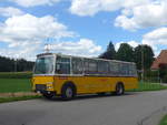(220'143) - Wittig, N�rensdorf - ZH 205'322 - FBW/FHS (ex Tiemann, Oetwil Nr.