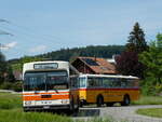 (235'694) - Wegm�ller, M�nsingen - BE 399'675 - FBW/R&J (ex Bamert, Wollerau) am 15.