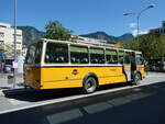 (237'157) - Wittwer, Chur - GR 16'004 - FBW/Gangloff (ex Eggenberger, M�riken; ex AVG Grindelwald Nr.