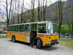 (248'726) - Wittwer, Chur - GR 16'004 - FBW/Gangloff (ex Eggenberger, M�riken; ex AVG Grindelwald Nr.