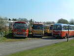 Life after being a bus.

Here we see three Plaxton Panorama bodied Leyland Leopards, all new to BMMO (later known as Midland Red).

SHA 645G, dating from 1969, BMMO fleet number 6145;
Q124 VOE, originally registewred GHA 326D, dating from 1966, BMMO 5826;
WHA 237H, dating from 1970, BMMO 6237.

Photograph taken at The Transport Museum, Wythall, Birmingham, on 5th April 2003.

WHA 237 had called in to The Transport Museum after delivering an AEC Reliance to Birmingham.  SHA & Q124 were both resident at the museum.  I believe that Q124 VOE has since been scrapped.