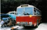 (025'407) - Niederer F., Langwiesen - ZH 527'611 - Saurer/T�scher (ex Sol�r+Fontana, Ilanz) am 15.