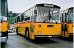 (062'908) - Zimmermann, Niederwangen - BE 113 U - Saurer/T�scher (ex P 24'289) am 30.