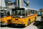 (070'421) - Toldo, Z�rich - ZH 484'215 - Saurer/R&J (ex Peter, Pfaffnau) am 28.