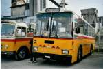 (079'822) - Toldo, Z�rich - ZH 484'215 - Saurer/R&J (ex Peter, Pfaffnau) am 27.