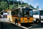 (110'311) - Toldo, Z�rich - ZH 124'701 - Saurer/R&J (ex Peter, Pfaffnau) am 16.