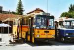 (119'811) - Toldo, Z�rich - ZH 124'701 - Saurer/R&J (ex Peter, Pfaffnau) am 15.