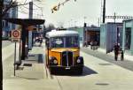 (125'702) - Stutz, Oberlunkhofen - AG 8341 - Saurer/T�scher (ex Dubs, Stallikon) am 24.