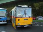 (141'970) - Schumacher, Liebefeld - BE 136'580 - Saurer/T�scher (ex Zimmermann, Niederwangen; ex P 24'289) am 21.