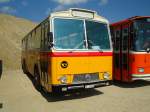 (146'563) - Zimmermann, Niederwangen - BE 24'289 - Saurer/T�scher (ex P 24'632) am 31.