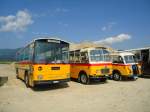 (146'609) - Schmid, Th�rishaus - BE 26'206 - Saurer/T�scher (ex P 24'244) am 31.