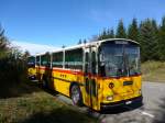 (155'633) - Inkamp, Altendorf - SZ 200'081 - Saurer/T�scher (ex Koch, Giswil; ex Selfors, Meiringen; ex P 24'236) am 12.