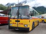 (163'561) - Aus der Schweiz: Toldo, Z�rich - ZH 124'701 - Saurer/R&J (ex Peter, Pfaffnau) am 16.