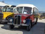 (163'906) - Bechter, Kriens - LU 82'380 - Saurer/Krapf (ex M�nch, D-Marienberg; ex Spirig, Widnau; ex RhV Altst�tten Nr.