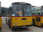 (184'335) - Amstein, Willisau - LU 90'909 U - Saurer/T�scher (ex Allemann, Niederbipp; ex Semadeni, Poschiavo; ex Kasper, Poschiavo; ex PostAuto Graub�nden; ex P 24'285) am 26.