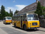 (193'709) - Streiff, Gelterkinden - AG 306'557 - Saurer/Gangloff (ex Oldie-Tours Z�risee, Wollerau; ex OTAG, Wald; ex Leibundgut, Obergoldbach; ex Krebs, Belpberg) am 3.